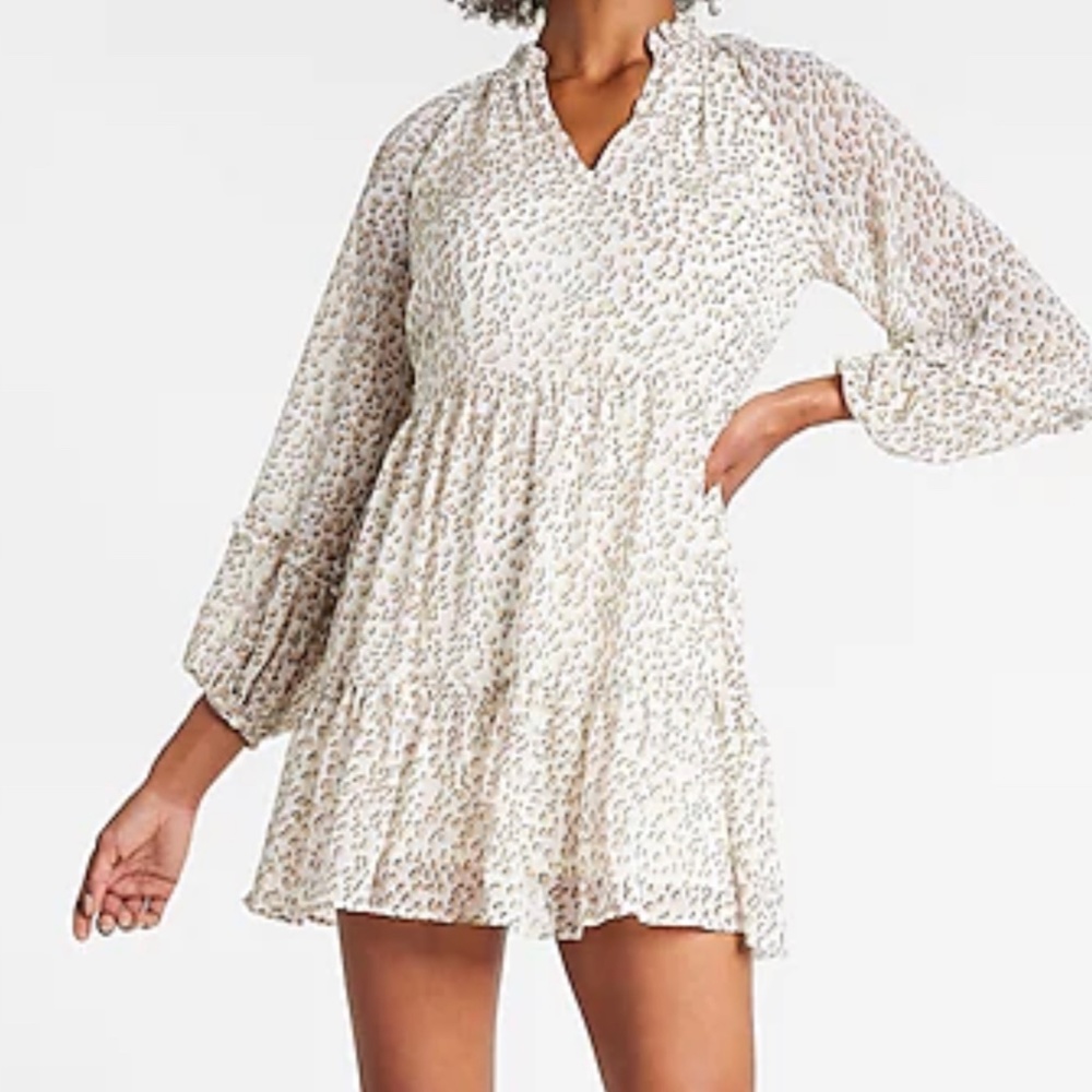 Worn once Leopard Trapaze Dress EXPRESS